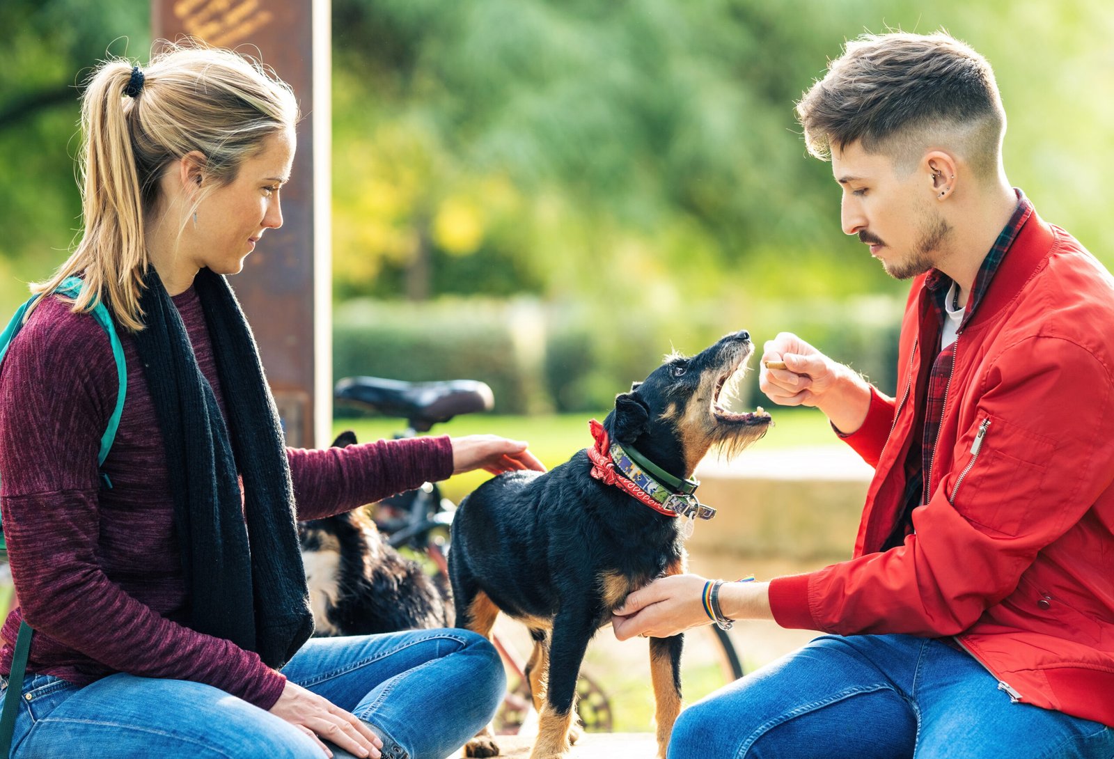 Two friends playing with a dog while sitting on a park